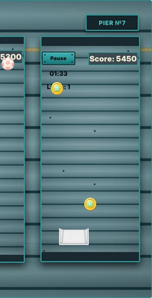 Net Shot Fever Screenshot 3