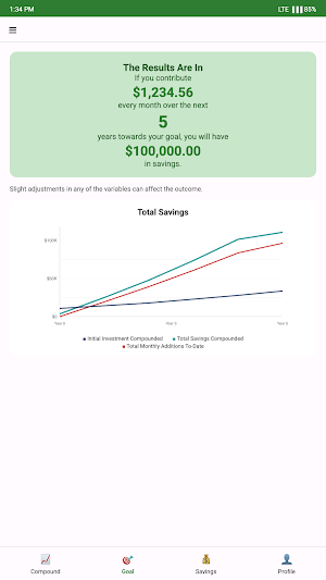 Personal Investment Calculator Screenshot 3