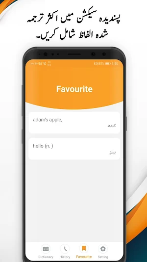 Urdu Dictionary Screenshot 3