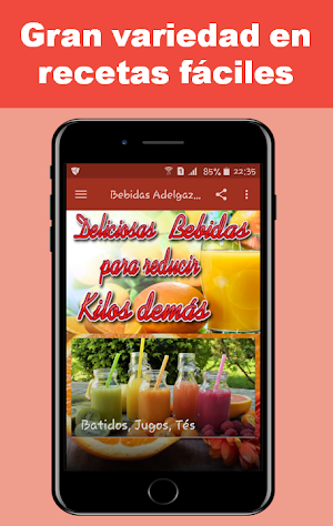 Bebidas Adelgazantes Screenshot 0