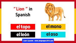 Learn Spanish - español Screenshot 2