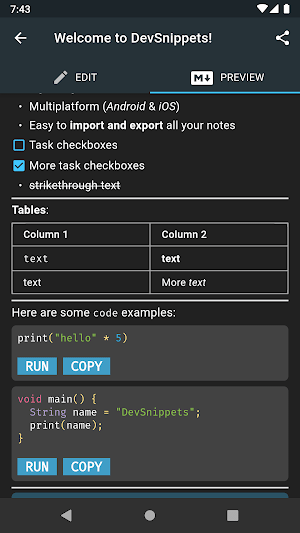 DevSnippets Screenshot 3
