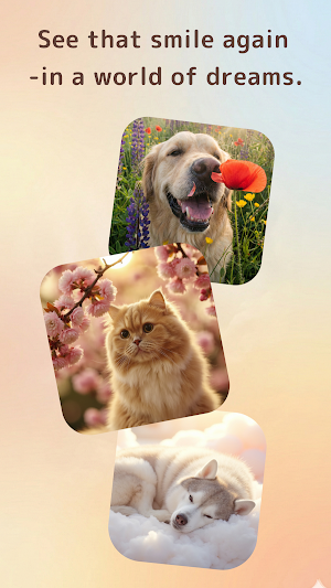 Rainbow AI: Pet Loss Reunion Screenshot 2