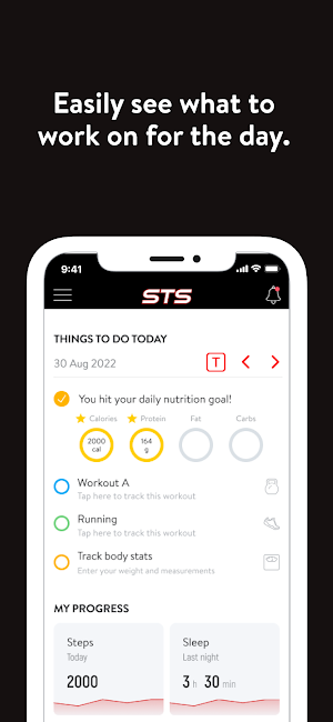 STS Online Screenshot 3