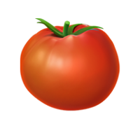 tomates