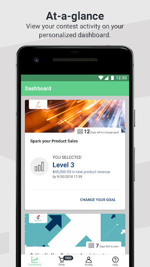 SalesMaker Screenshot 0