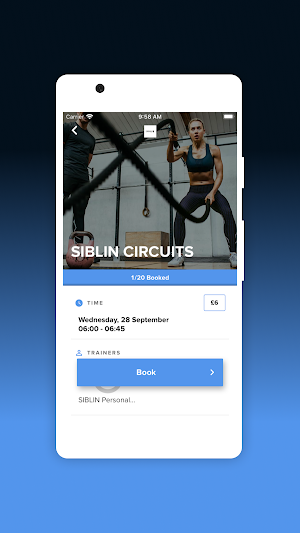 SIBLIN Screenshot 2