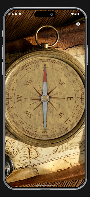Real Compass Screenshot 1