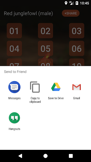 Red junglefowl Screenshot 2