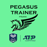 Pisani Pegasus Trainer