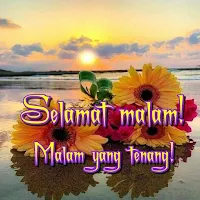 Selamat malam!