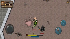 Hero Survival Screenshot 2