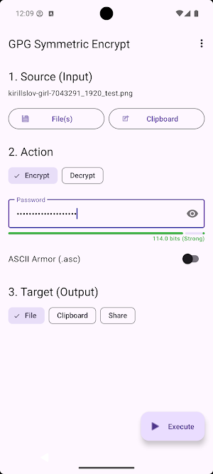 GPG Symmetric Encrypt Screenshot 0