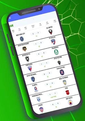 LiveGoal All football Scores Screenshot 1