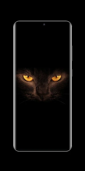 Black Live Wallpaper Screenshot 1