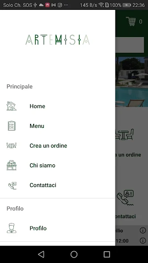 Artemisia Screenshot 1
