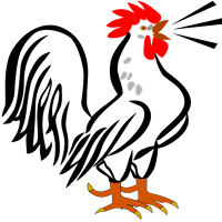পোলট্রির রোগ ও চিকিৎসা