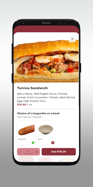 TUNIS FL LLC Screenshot 3