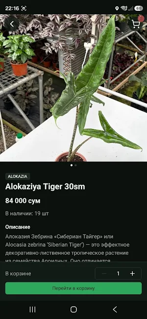 Egen: маркетплейс цветов Screenshot 1