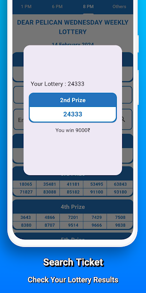 Dear Lottery Results Nagaland Screenshot 3