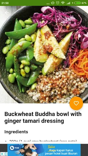Vegetarian Recipes Offline Screenshot 2