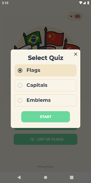 Guess The Flags Screenshot 1