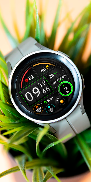 TechGauge Watch Face Screenshot 1