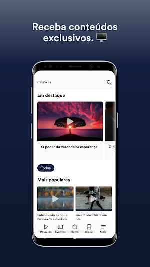 IBPAZVG Screenshot 1