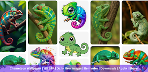 Chameleon Wallpaper HD & 4K Screenshot 0