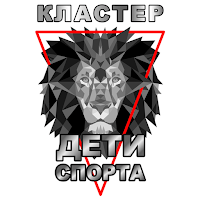 КЛАСТЕР ДЕТИ СПОРТА