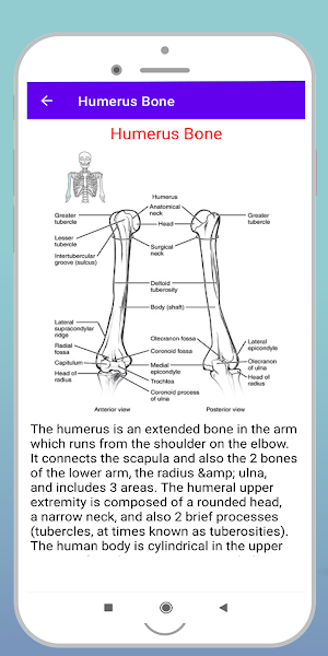 Human Bones Screenshot 2
