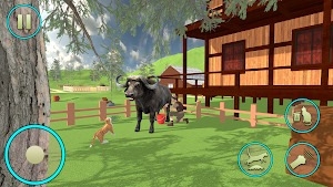 Cat Simulator: Pet Games 3D Screenshot 0
