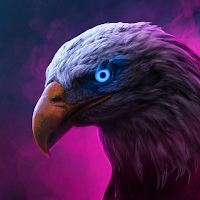 Eagle HD Wallpaper