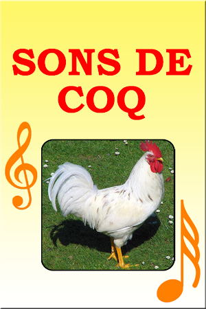 Sons de Coq Screenshot 2