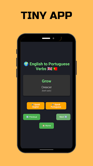 Portuguese Verbs Screenshot 2