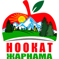 Ноокат