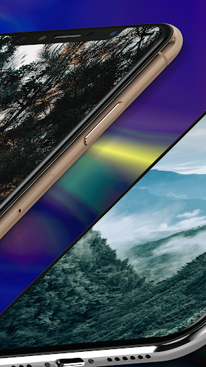 Forest Wallpaper HD Screenshot 3