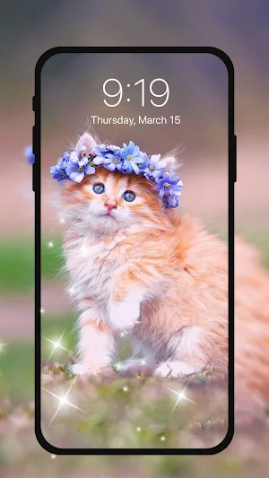 Cute Kitten Live Wallpapers HD Screenshot 2