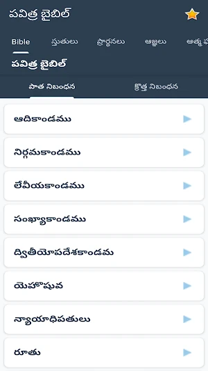 Telugu Holy Bible Screenshot 1