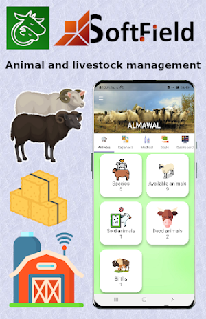 ALMAWAL Screenshot 0