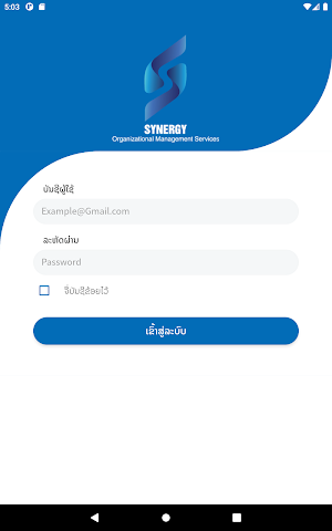 Synergy Screenshot 2