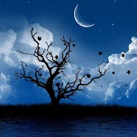 Sleep Music : Offline Support