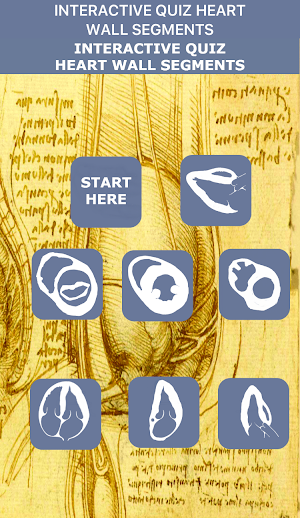 AHA 17 SEGMENT INTERACTIVE HEART QUIZ Screenshot 0