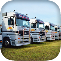 Car Transporter Parking 3D
