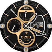 TicWatch Gold Wing