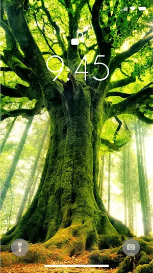 Tree 4K Wallpaper Screenshot 3