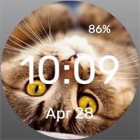 Kotofey - Watch Face