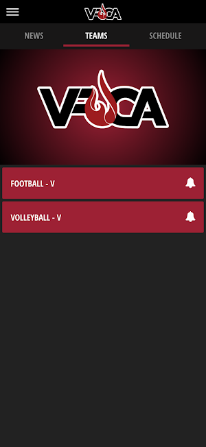 VFCA Fire Screenshot 3