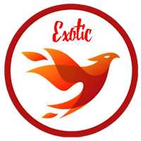 Exotic Fast VIP