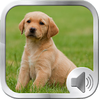 Dog Sounds Ringtones